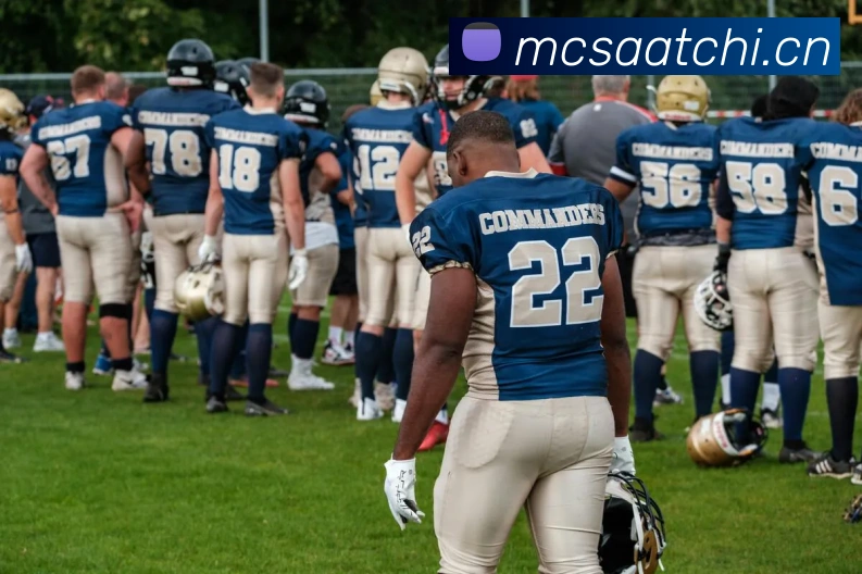 爱游戏官网网页版入口发展历程